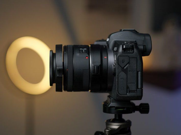 El equipo esencial para macrofotografía: captura el mundo a pequeña escala